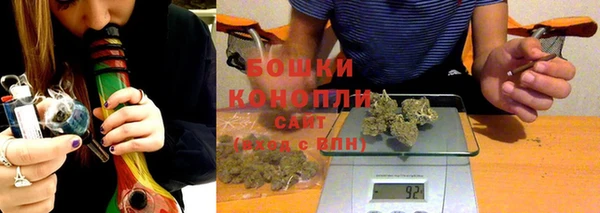 сатива Верея