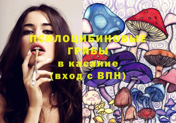 ГАЛЛЮЦИНОГЕННЫЕ ГРИБЫ Верхнеуральск