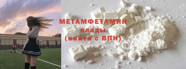сатива Верея