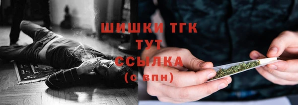 сатива Верея