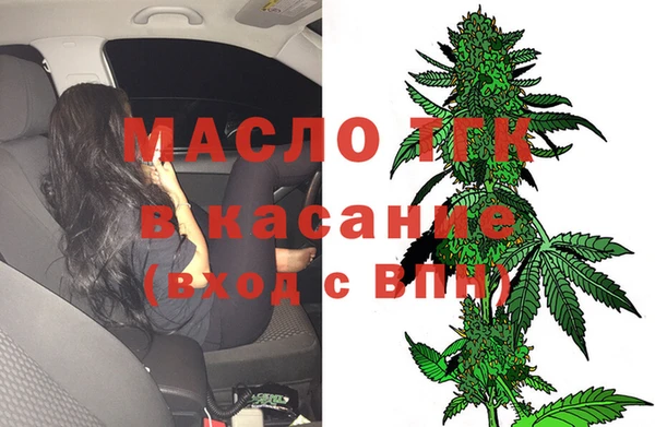 сатива Верея