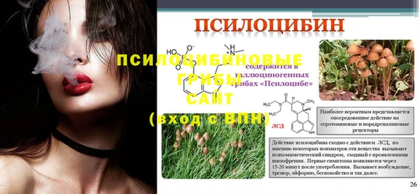 ГАЛЛЮЦИНОГЕННЫЕ ГРИБЫ Верхнеуральск