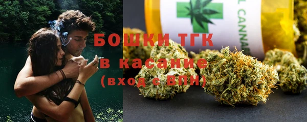 дживик Верхний Тагил