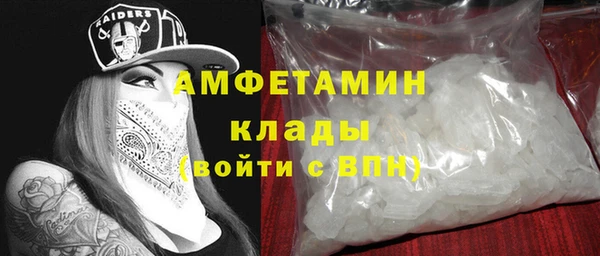 дживик Верхний Тагил